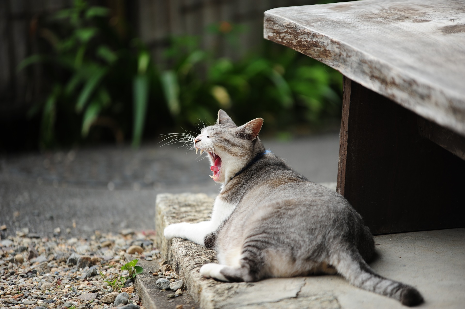 休日予定がない